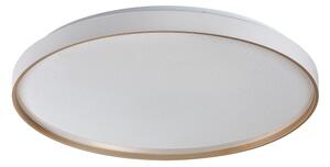 Rabalux 71453 - LED Stm stropní sv ZERAVA LED/60W/230V 3000-6500K pr. 58 cm + DO