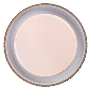 Rabalux 71345 - LED Stm stropní sv PASTELLO LED/48W/230V 3000-6500K pr.49,5cm+DO