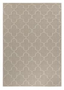 Ayyildiz, Moderní kusový koberec Patara 4951 Beige | Béžová Typ: 80x150 cm