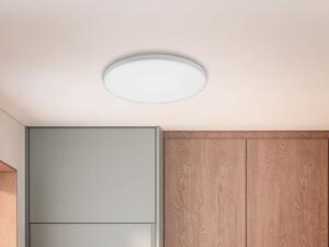 LIVARNO home Stropní/nástěnné LED svítidlo (kónické) (100358971001)