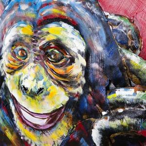 Železný 3D obraz Monkeys