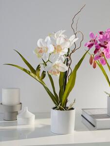 KLiNGEL Orchidej, bílá