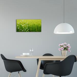 Moderní skleněné hodiny na stěnu Rýžové pole pl_zsp_60x30_f_104337572