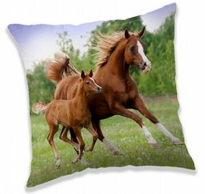 Jerry Fabrics polštářek Horse brown 40x40 cm