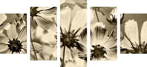 5-dílný obraz zahradní květiny v sépiovém provedení