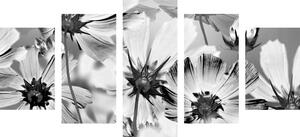5-dílný obraz zahradní květiny v černobílém provedení