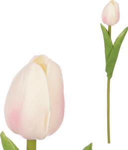 Pěnový tulipán krémovo růžový
