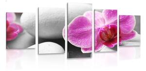 5-dílný obraz květy orchideje na bílých kamenech