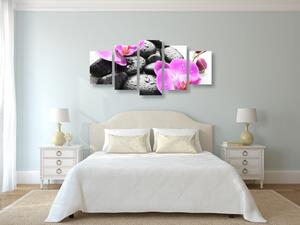 5-dílný obraz krásná souhra kamenů a orchideje