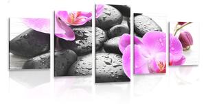 5-dílný obraz krásná souhra kamenů a orchideje
