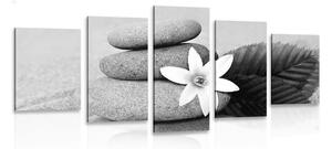 5-dílný obraz květ a kameny v písku v černobílém provedení