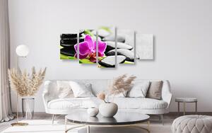 5-dílný obraz wellness zátiší s fialovou orchidejí