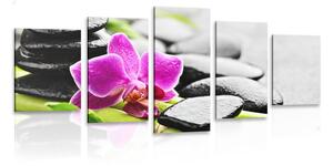 5-dílný obraz wellness zátiší s fialovou orchidejí