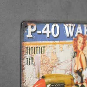 Kovová cedule P-40 Warhawk
