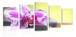 5-dílný obraz orchidej a černé kameny