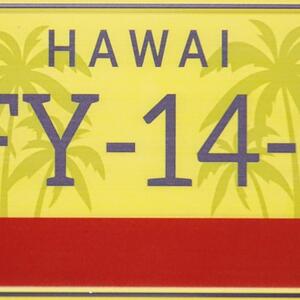 Kovová dekorativní SPZ Hawaii 2