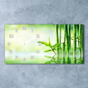 Moderní skleněné hodiny na stěnu Bambus pl_zsp_60x30_f_120328411