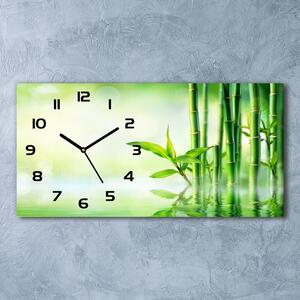 Moderní skleněné hodiny na stěnu Bambus pl_zsp_60x30_f_120328411