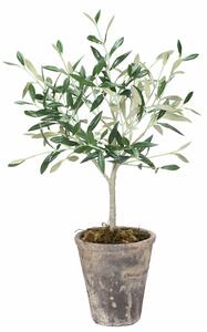 Lene Bjerre Dekorativní olivovník - 44 cm LB218