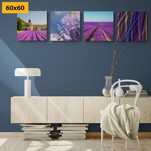 Set obrazů levandulové pole s abstrakcí