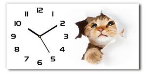 Skleněné hodiny na stěnu tiché Kočka v díře pl_zsp_60x30_f_33902265