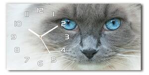 Skleněné hodiny na stěnu Kočka modré oči pl_zsp_60x30_f_41430581