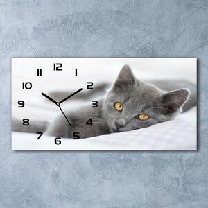 Moderní skleněné hodiny na stěnu Šedá kočka pl_zsp_60x30_f_43951156