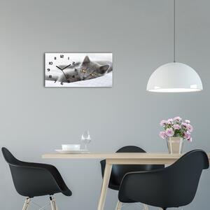 Moderní skleněné hodiny na stěnu Šedá kočka pl_zsp_60x30_f_43951156