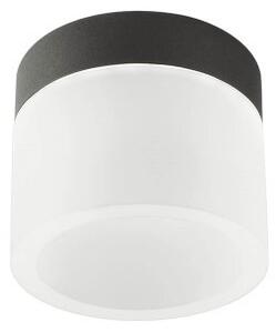 Redo 01-3359 LED bodové stropní svítidlo NAIDA | 6W integrovaný LED zdroj | 258lm | 3000+4000K