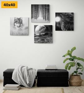 Set obrazů tajuplný vlk v černobílém provedení