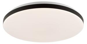 Brilliant - LED RGBW Stmívatelné stropní svítidlo LIVIO LED/20W/230V + DO