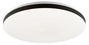 Brilliant - LED RGBW Stmívatelné stropní svítidlo LIVIO LED/20W/230V + DO