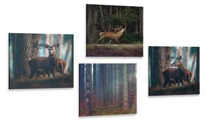 Set obrazů kouzlo lesních zvířat