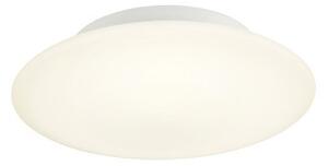 Redo 01-2988 LED přisazené stropní svítidlo ANTIBA | 17W integrovaný LED zdroj | 926lm | 3000K