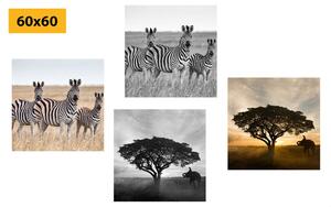 Set obrazů zvířata žijící na Savanu