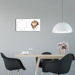 Moderní skleněné hodiny na stěnu Kočka pl_zsp_60x30_f_52539481