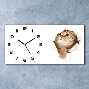 Moderní skleněné hodiny na stěnu Kočka pl_zsp_60x30_f_52539481