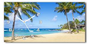 Skleněné hodiny na stěnu Tropická pláž pl_zsp_60x30_f_53431750