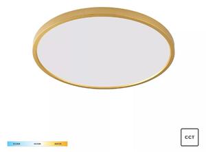 Zuma Line WM-BP1108-M-W LED přisazené stropní svítidlo CAMI | 42W integrovaný LED zdroj | 3000/4000/6000K