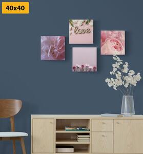 Set obrazů květiny v jemném růžovém odstínu