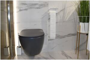 Deante Peonia Zero, závěsná WC mísa RimFree, 51 x 36 cm, antracitová-titanium, CDE_DZPW