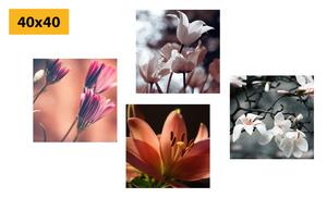 Set obrazů něžnost květin