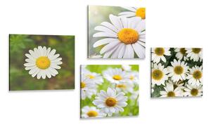 Set obrazů kouzelné květiny