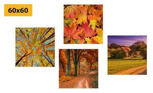 Set obrazů příroda v podzimních barvách