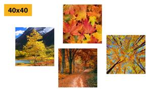 Set obrazů podzimní příroda v nádherných barvách