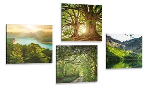 Set obrazů nádherná zelená příroda