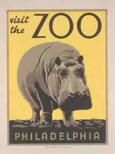 Obrazová reprodukce Vintage Philadelphia Zoo Poster (Featuring a Hippo), (30 x 40 cm)