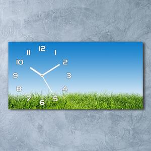 Moderní skleněné hodiny na stěnu Tráva pl_zsp_60x30_f_70389289