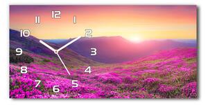 Skleněné hodiny na stěnu tiché Růžové kopce pl_zsp_60x30_f_72586785