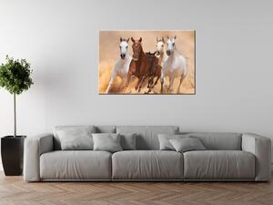 Obraz na plátně Cválající koně Rozměry: 90 x 60 cm